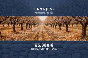 Immobile in asta di 13600 m² a Enna