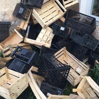 Casette ortofrutta (0.15€pz)