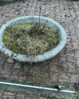 Vasi bassi rotondi da giardino in cemento