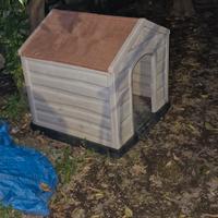 cuccia cane taglia medio grande