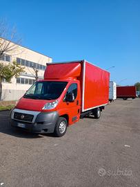 Ducato Cassonato 250