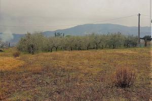 Terreno di 1850 m² a Lucca
