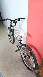 Ancillotti Tomaso DHP