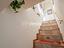 Immagine 7