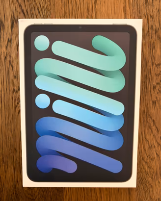 iPad Mini 7 da 256GB Wi-Fi color Grigio Siderale