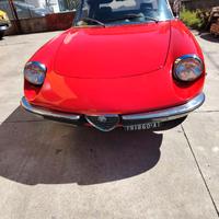 ALFA ROMEO SPIDER 1750 coda tronca
