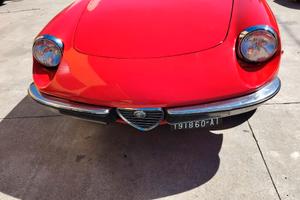 ALFA ROMEO SPIDER 1750 coda tronca