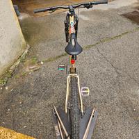 Bici Mtb All Mountain FEEL 700 LT telaio alluminio