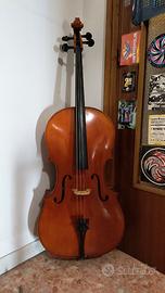 Violoncello  Gewa 1982