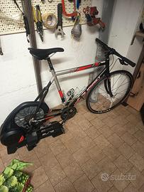 rulli interattivi elite direto 