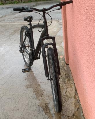 Biciicletta