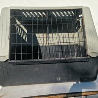 Trasportino box auto per cani 