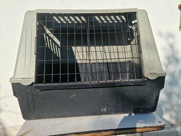Trasportino box auto per cani 