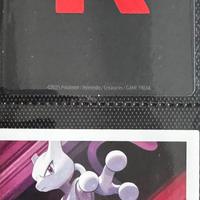Pokemon rivali predestinati