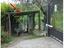 Immagine 11