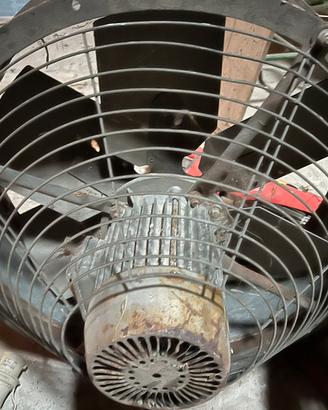 Ventilatore stalla
