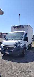 Fiat ducato frigo