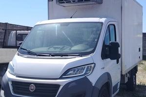 Fiat ducato frigo