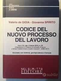Codice del Nuovo Processo del Lavoro - NDE