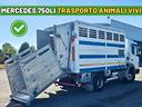 camion-trasporto-bestiame-mercedes-benz-atego-815-
