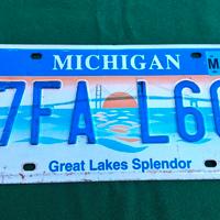 Targa vintage americana Stato del Michigan 2004