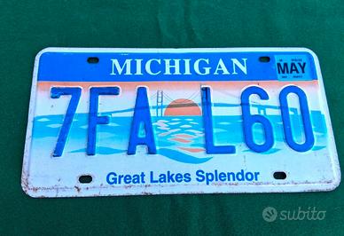 Targa vintage americana Stato del Michigan 2004