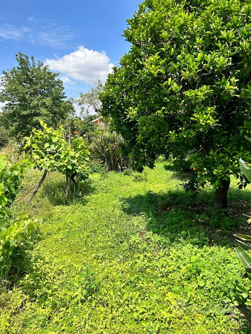 Terreno - Aci Sant'Antonio - Vista 5