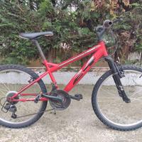 bici da 24