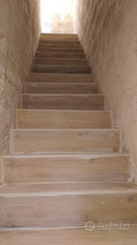 Imbianchino, restauratore