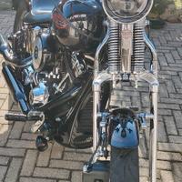Springer Softail FXSTS