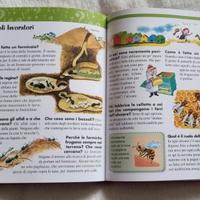 Libro Tante domande tante risposte