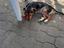 Immagine 2