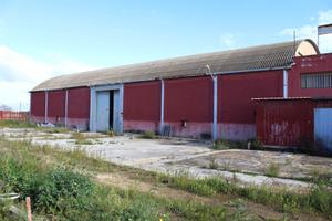 Rif.8882UF98516| capannone mazara del vallo