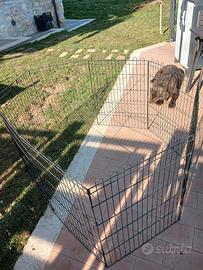 recinto cuccioli