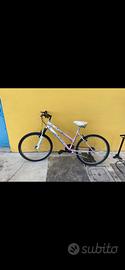 bicicletta