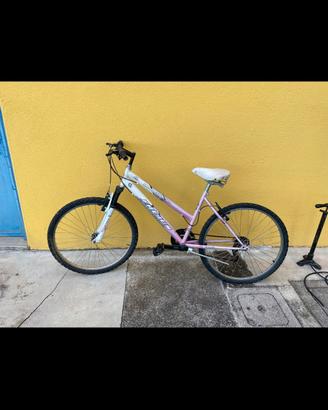 bicicletta