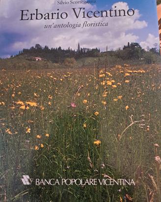 Erbario Vicentino