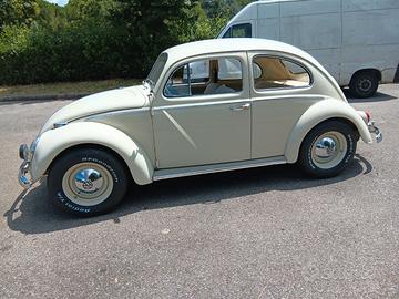 Volkswagen maggiolino 1963