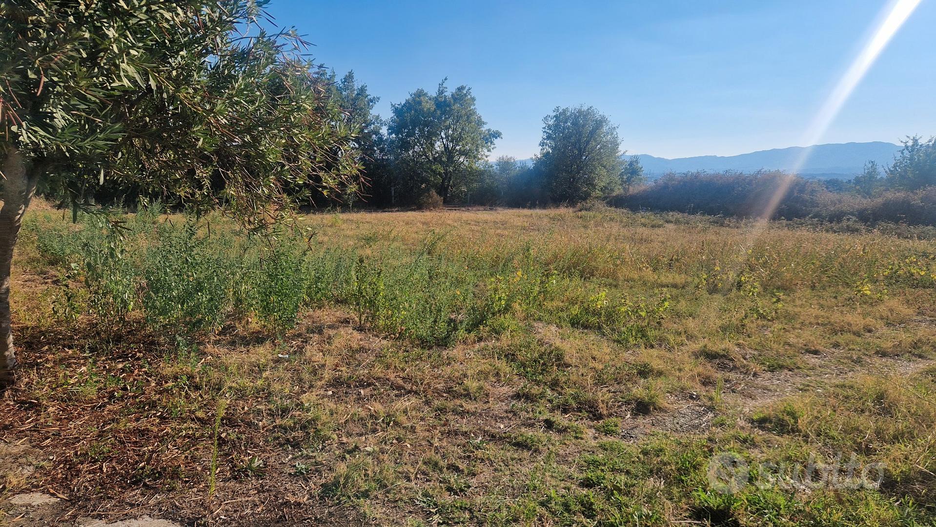 terreno edificabile Bisignano 'campo sportivo' - Altro