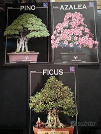 Mini Guide Bonsai Crespi.