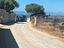 Immagine 14