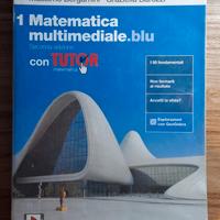 Matematica multimediale.blu Volume 1