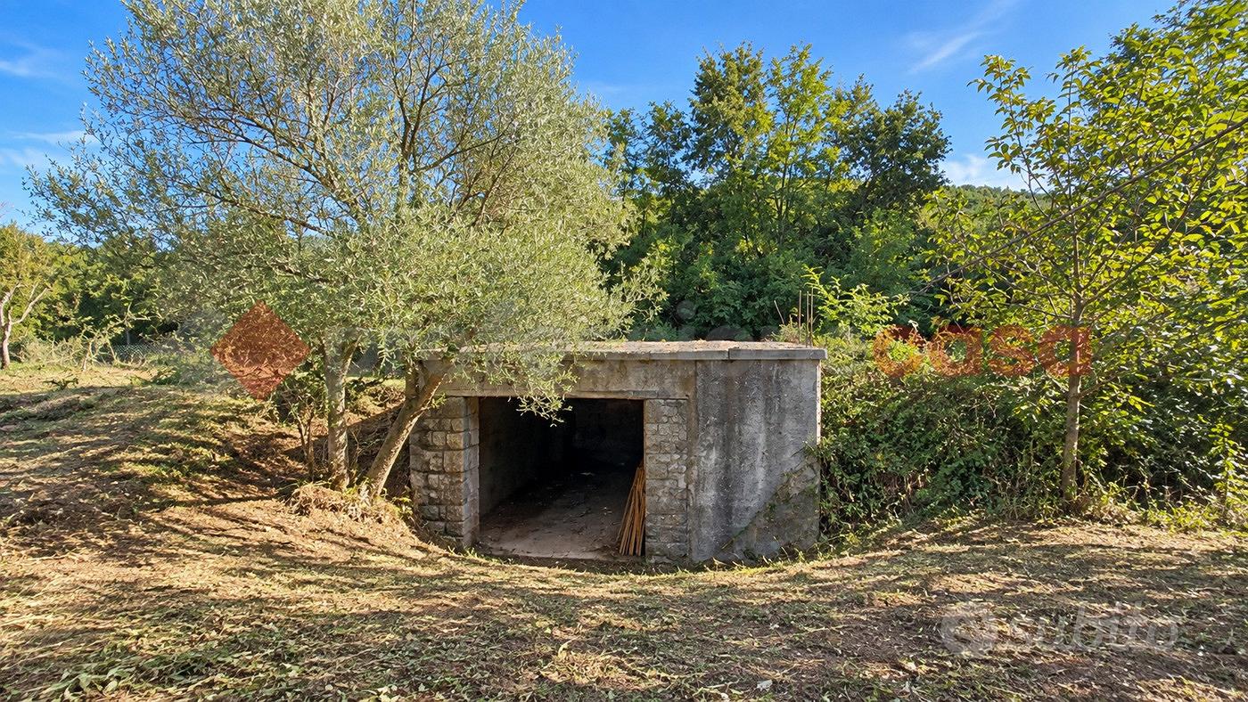 Terreno Agricolo Torre Cajetani - Altro
