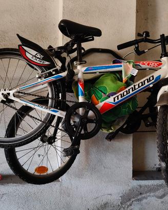 mountain bike bicicletta
