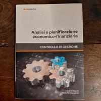 Analisi e pianificazione economico-finanziaria Luc