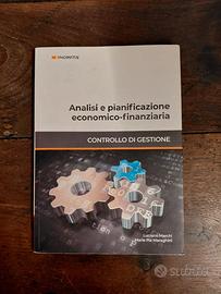 Analisi e pianificazione economico-finanziaria Luc