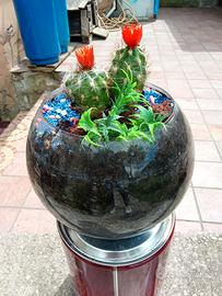 Cactus Decorativo in Ampolla di Vetro