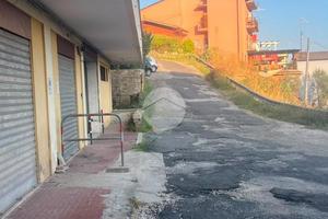 BOX A PALIANO