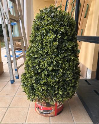 Pianta finta