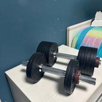 manubri palestra della decathlon 